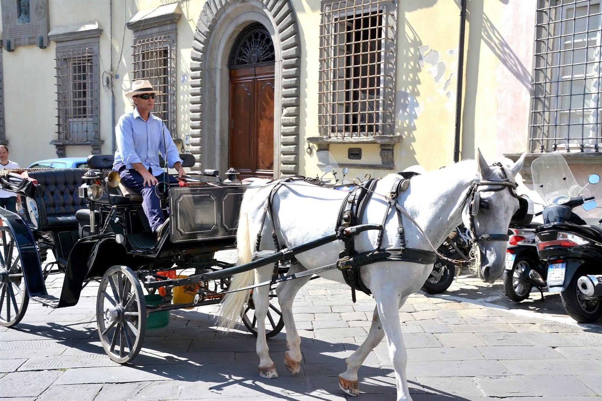 Dimora Dei Guelfi Luxury Rooms Lucca Exterior photo